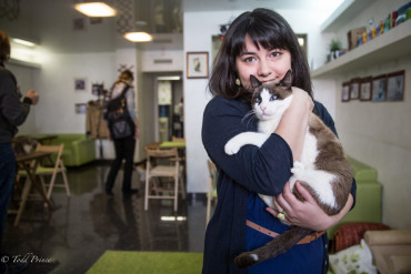 Alyona: Cat Time Cafe Owner